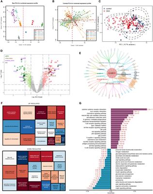 Identification of diagnostic markers related to oxidative stress and inflammatory response in diabetic kidney disease by machine learning algorithms: Evidence from human transcriptomic data and mouse experiments